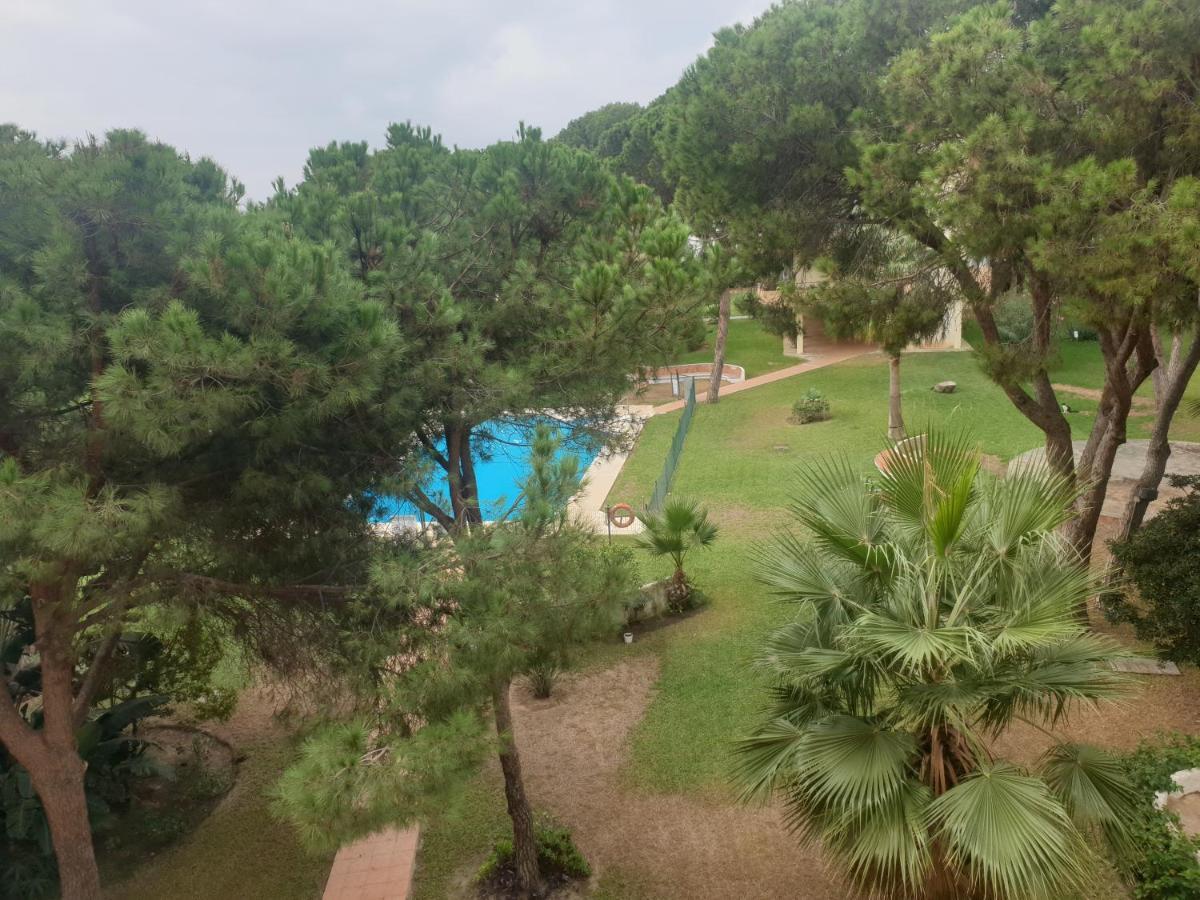 Precioso Estudio Con Piscina A 200M Del Mar Marbella Exteriör bild